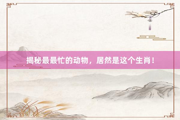 揭秘最最忙的动物，居然是这个生肖！