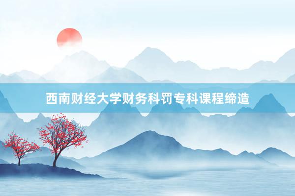 西南财经大学财务科罚专科课程缔造