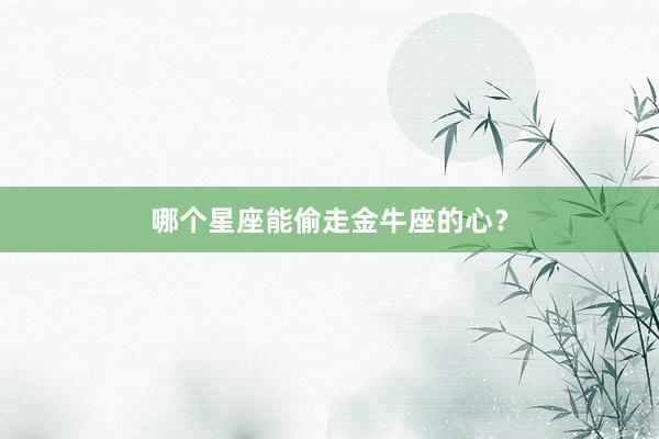 哪个星座能偷走金牛座的心？