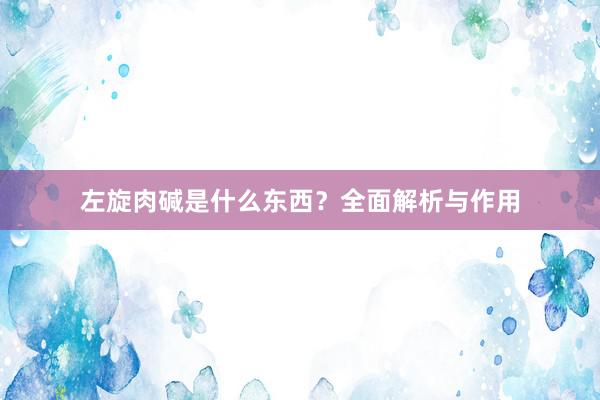 左旋肉碱是什么东西？全面解析与作用