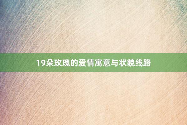 19朵玫瑰的爱情寓意与状貌线路