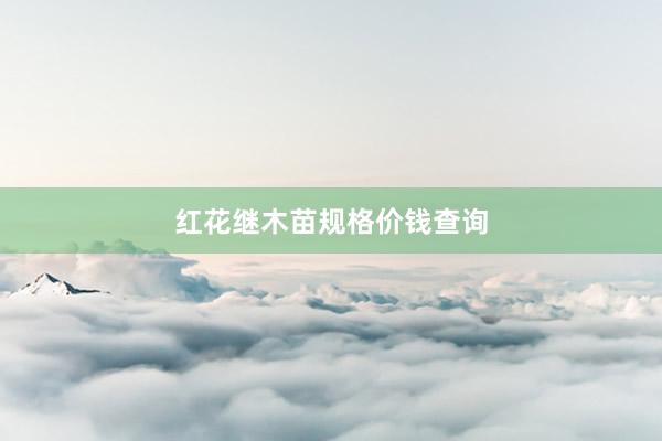 红花继木苗规格价钱查询