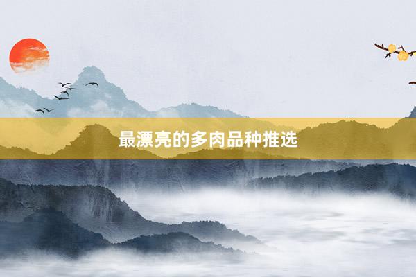 最漂亮的多肉品种推选